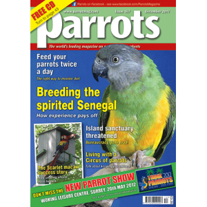 Parrots magazine, Issue 167