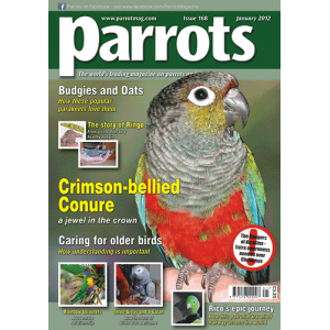 Parrots magazine, Issue 168