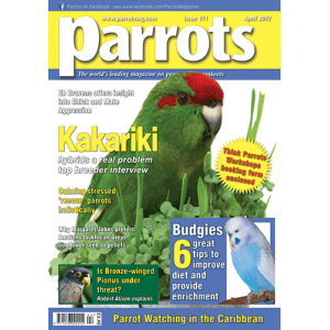 Parrots magazine, Issue 171