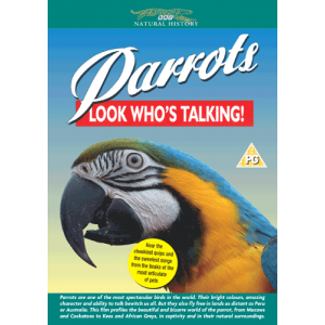 Parrots   Look W 4a439a603d1b9