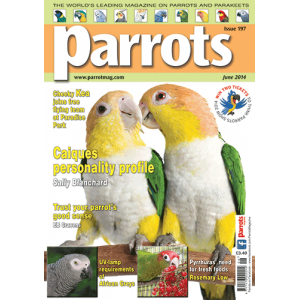 Parrots magazine, Issue 197, June 2014