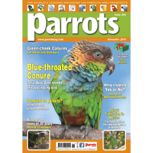 Parrots magazine, Issue 202, November 2014