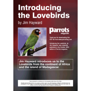 Parrots magazine, Introducing the Lovebirds