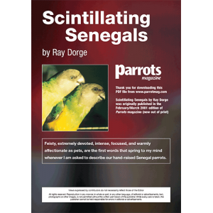 Scintillating Senegals