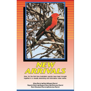 Land of Parrots - New Arrivals