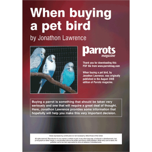 Buying a Pet Bird